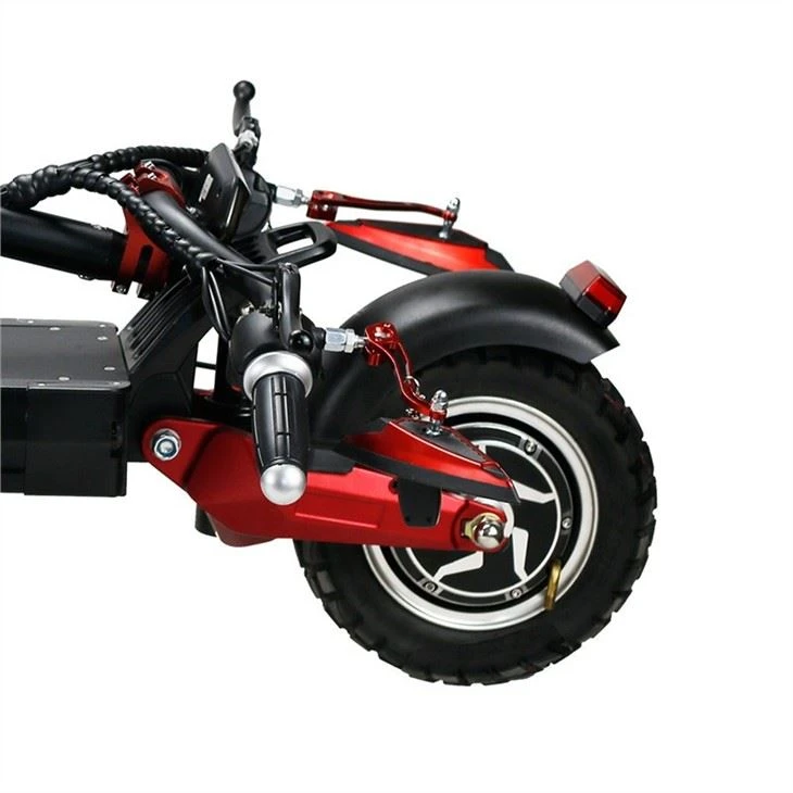 800w electric scooter (1)