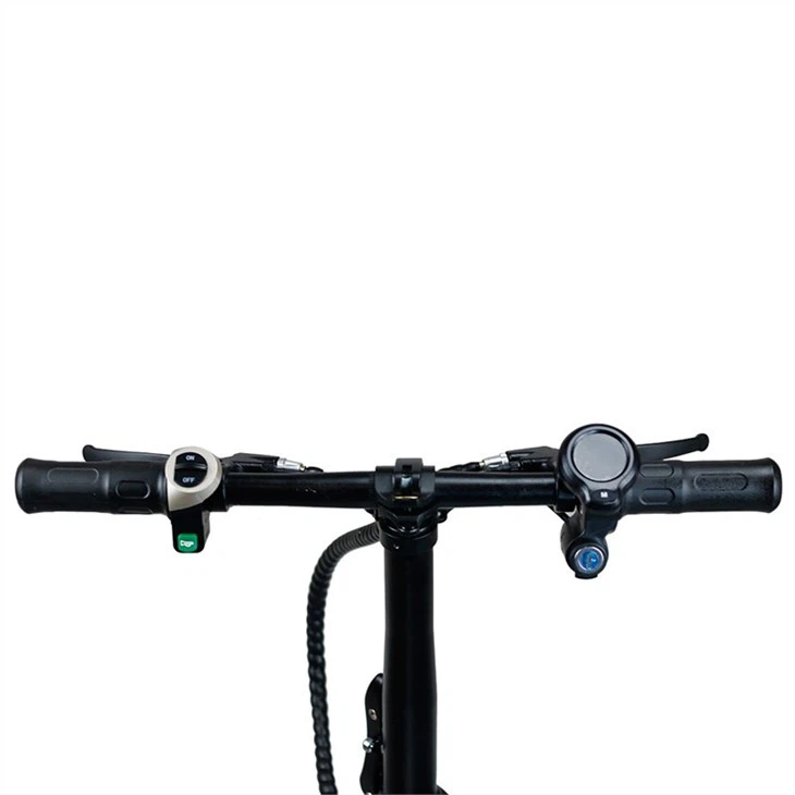 portable elecric bike (5)